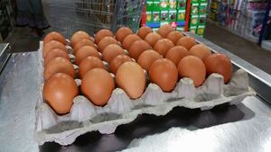 Contrabando y sequía azotan producción de huevos