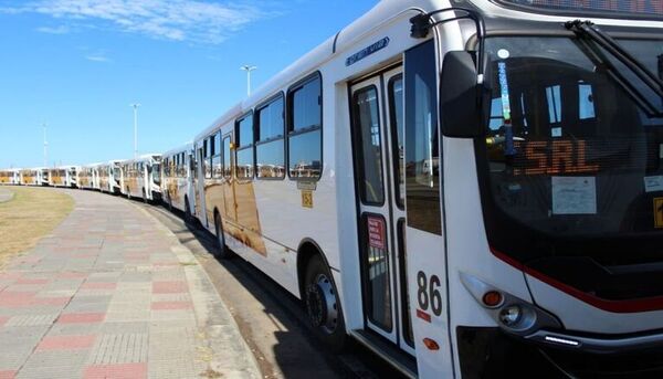 Gobierno introduce 50 buses gratuitos para mitigar la sobredemanda de usuarios en hora pico