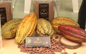 Salvadoreños se aferran al chocolate artesanal y sueñan con expandir su marca - MarketData