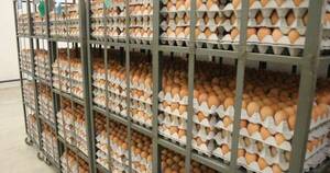 La Nación / En los supermercados remarcan precios ante la escasez de huevos