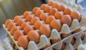 Hay desabastecimiento de varios productos de la canasta básica, afirma presidente de la CAPASU