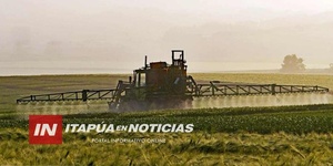 FERTILIZANTES CON PRECIOS POR LAS NUBES POR CONFLICTO RUSIA-UCRANIA - Itapúa Noticias