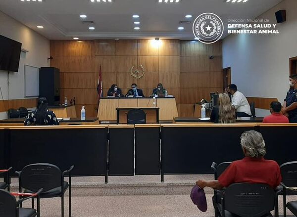 Caso “Cococha”: se inicia juicio oral contra presunto zoofílico por abuso de una gallina - Nacionales - ABC Color
