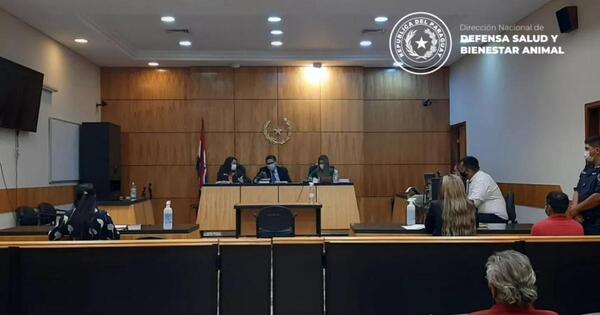 Histórico juicio oral por abuso sexual a una gallina