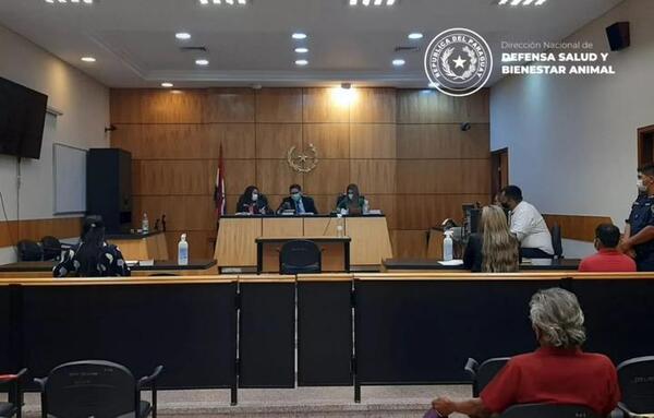 Caso “cococha”: histórico juicio contra presunto abusador de una gallina