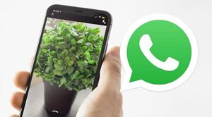 Nuevo modo para sacar fotos llega a WhatsApp en todos los celulares: de qué se trata