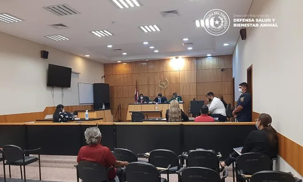 Hombre fue a juicio por abusar de una gallina, se expone a dos años de prisión - OviedoPress