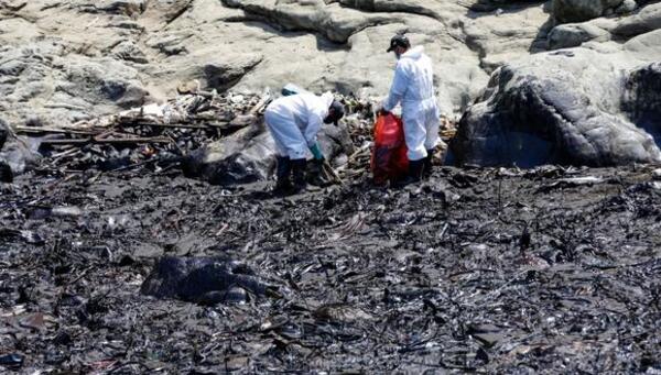 Diario HOY | Aves muertas y pescadores desempleados dos meses después de derrame en Perú