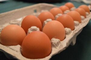 Escasez de huevos es consecuencia de alto costo de alimentos para pollos, afirman desde Avipar