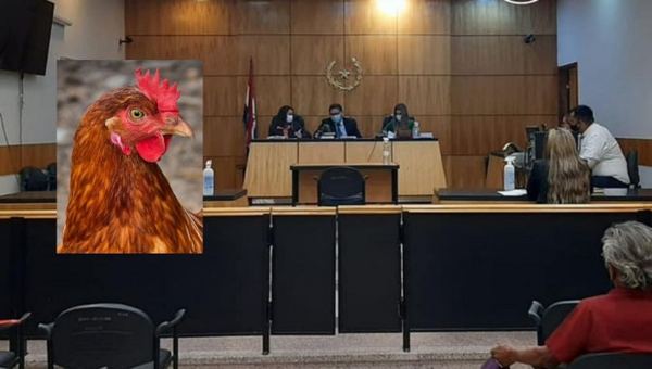 Hombre va a juicio por abusar de una gallina y podría ir 2 años preso - Noticiero Paraguay