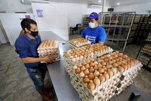 Efecto contrabando: Supermercados limitan ventas de huevos por escasez del producto