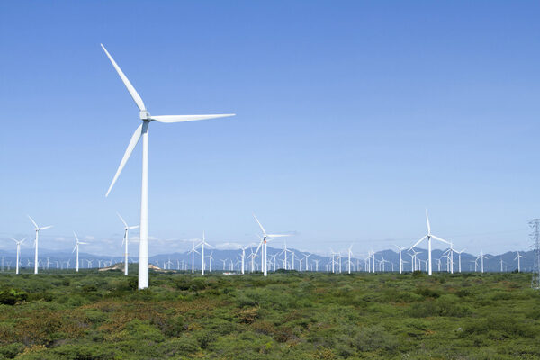 México perderá 3.000 millones de dólares al año en energía eólica por reforma - MarketData