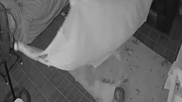 Paraguarí: Madre denuncia por maltrato a niñera | Noticias Paraguay
