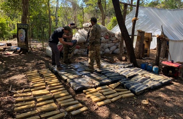 SENAD destruye «narcocampamentos» en Concepción