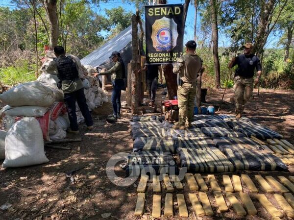 Senad destruyó 2 toneladas de marihuana y narcocampamentos en Puentesinho