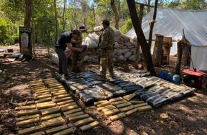 SENAD destruye «narcocampamentos» en Concepción