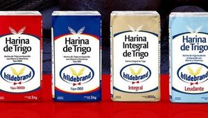 Johnny Hildebrand: “Este año vamos a exportar entre el 10% y 15% de nuestra producción de harina”