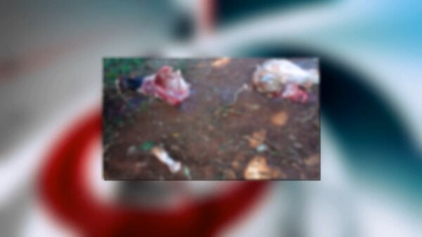 Aumentan casos de abigeato en Itapúa