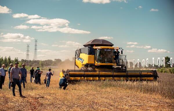 Innovar 2022: la mayor feria agropecuaria continúa en Colonia Yguazú