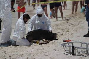 Cancún: hallaron restos óseos que pertenecerían a compatriota desaparecido - 1000 Noticias