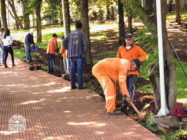 Inician reparación de lumínicas del Lago de la República - La Clave
