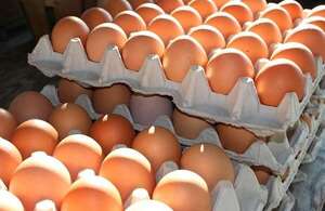 Productores de huevos niegan especulación
