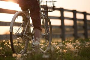 ONU adopta resolución que promueve la bicicleta para combatir el cambio climático