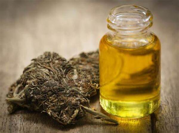Édgar Martínez Sacoman enfrentará su tercer juicio oral sobre, Aceite de cannabis – Prensa 5
