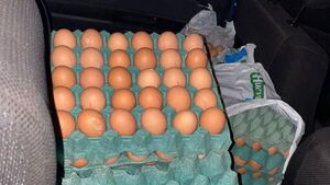 Destruirán 1.800 huevos decomisados de contrabando