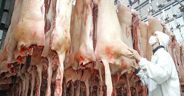 La Nación / Hay mucho por crecer, dice titular del Senacsa tras apertura de Ecuador para la carne porcina