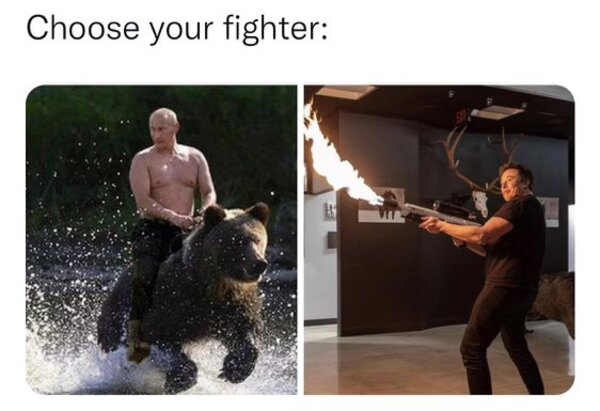 Elon Musk reta a Putin a un duelo por el destino de Ucrania, y se ha vuelto viral.