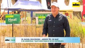 Manejo de herbicidas y qué puede pasar si no se controlan las malezas - ABC Rural - ABC Color