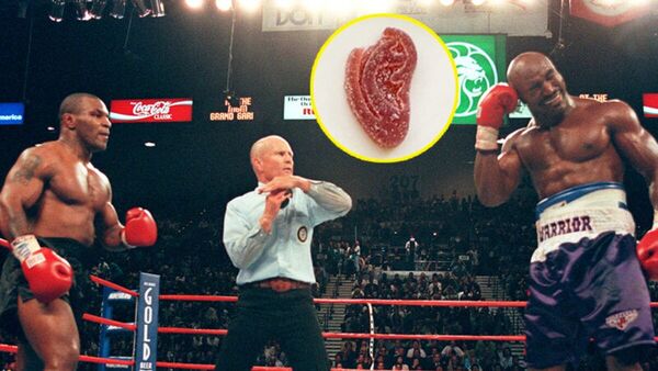 Mike Tyson lanzó dulces con forma de oreja mordida