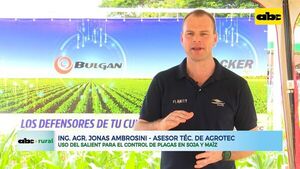 Uso del Salient para el control de plagas en soja y maíz - ABC Rural - ABC Color