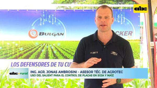 Uso del Salient para el control de plagas en soja y maíz - ABC Rural - ABC Color