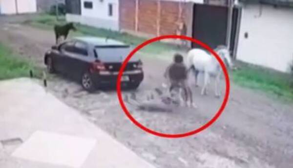 Crónica / Hepy la combustible: ahora ya hay “caballo-chorro”