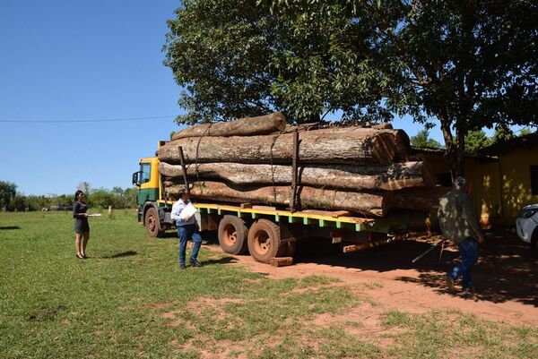 Decomisan rollos de madera y detienen a dos supuestos traficantes - Nacionales - ABC Color