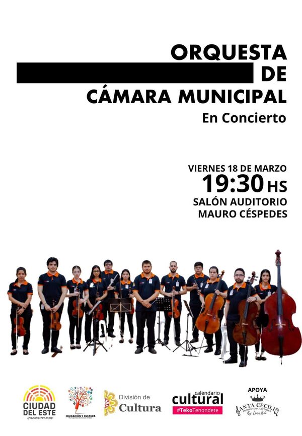 Orquesta de cámara municipal se presentará mañana en Mauro Céspedes - La Clave