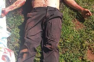 Solitario criminal mata de un balazo a productorporcino para robarle G.7 millones y una escopeta – Diario TNPRESS