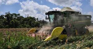 La Nación / Brasil aumentará exportaciones de maíz, pero teme por fertilizantes