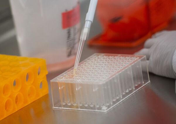 Rusia denuncia que Ucrania destruye biomateriales y documentación - Mundo - ABC Color