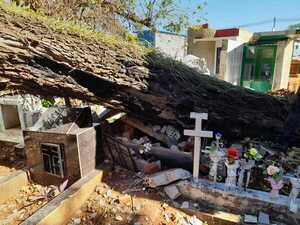 Frondoso árbol cae y destruye varios panteones del cementerio de Encarnación.