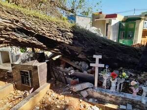 Crónica / Árbol cayó en cementerio y "remató" a los difuntos