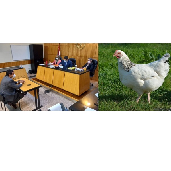 Abusó de una gallina y acaban de condenarlo