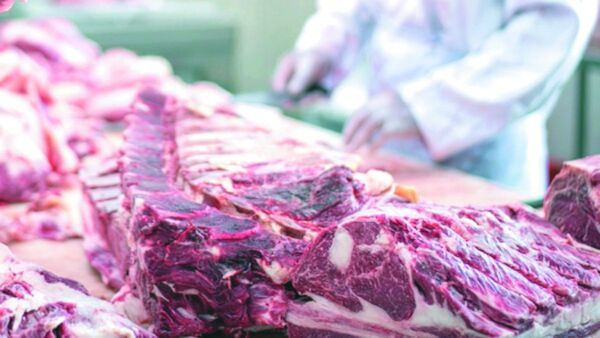 ¡Por fin! Bajó el precio de la costilla y chancho