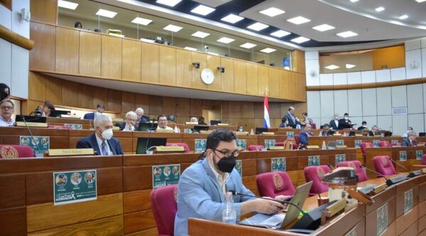 Senado trata subsidio al combustible mientras protestas continúan a nivel país - Noticiero Paraguay