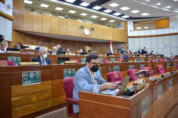 SENADO TRATA SUBSIDIO AL COMBUSTIBLE MIENTRAS PROTESTAS CONTINÚAN A NIVEL PAÍS - Itapúa Noticias