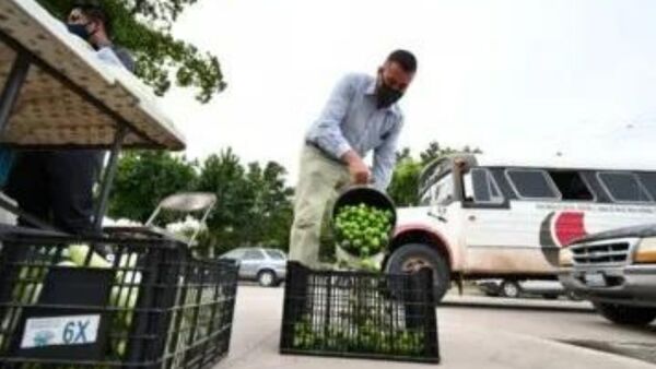 Limones ácidos por narcotráfico - El Independiente