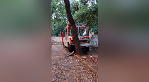Diario HOY | Bus queda sin frenos en plena bajada y choca contra un árbol: "Atajarse era lo que quedaba"
