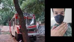 ¡No es un problema pasajero! Frenó por un árbol